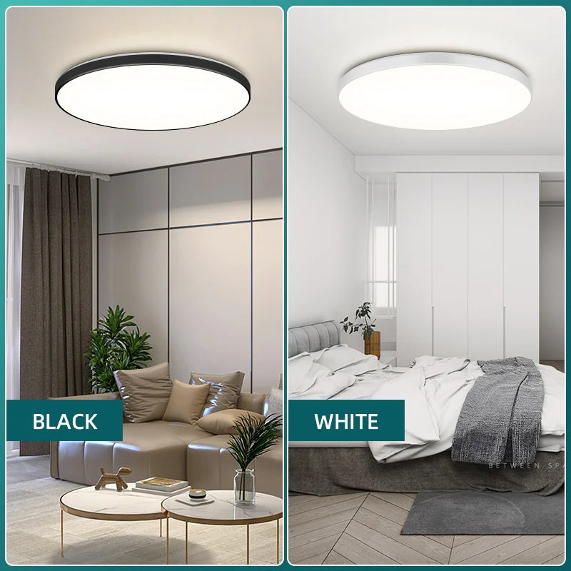 Luminair Modern Modern Ceiling Lamp Chandelier