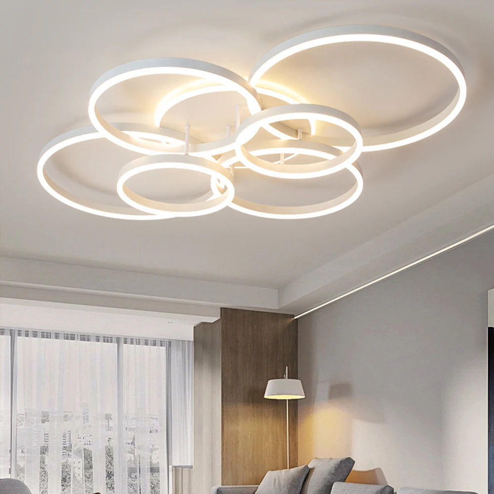 Noix Modern LED Ceiling Chandelier Lighting