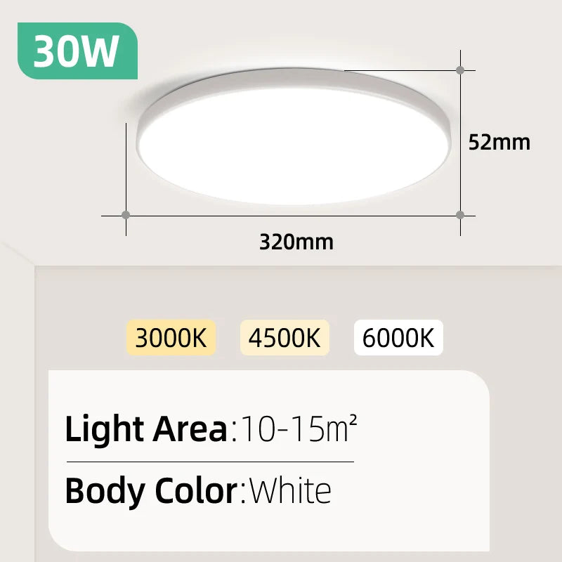 Luminair Modern Modern Ceiling Lamp Chandelier